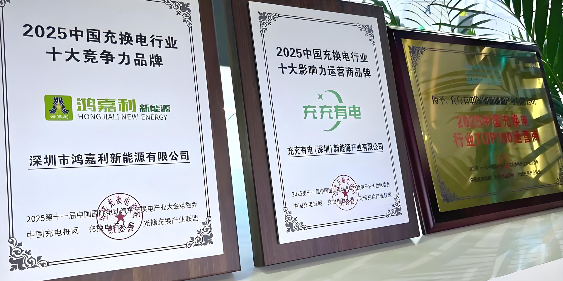 聚焦极悦娱乐